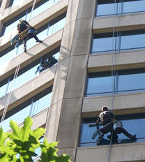 window-cleaners